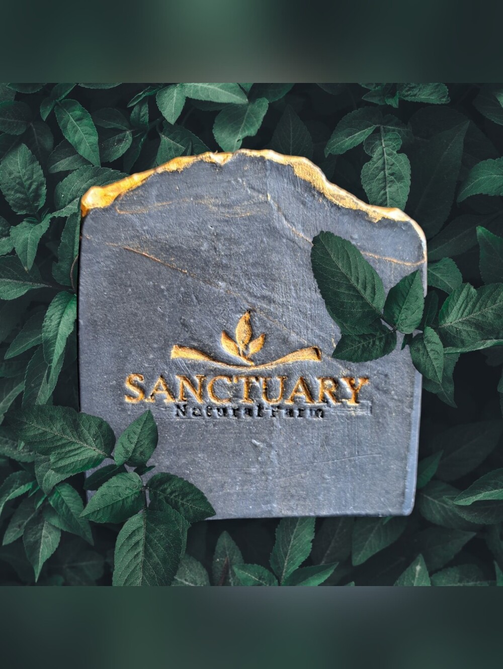 Deep Earthy & Woodsy Hamdmade Soap